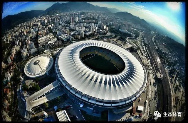 女单八强 女单八强